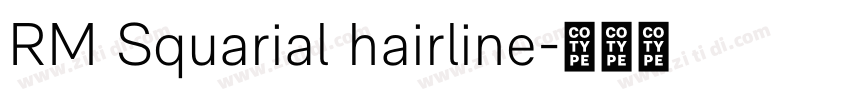 RM Squarial hairline字体转换